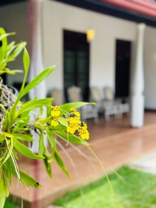 Casa Winnie *